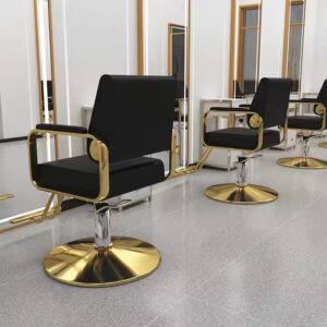 Barber Shop/Salon Chairs Special Hairdressing Chairs