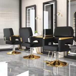 Salon Chair Hydraulic Chair for Business or Barber Shop