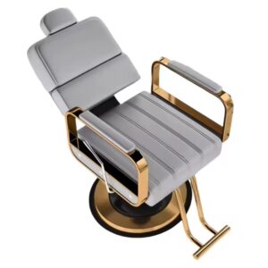 Reclining hydraulic pump Gray gold Barber Chair